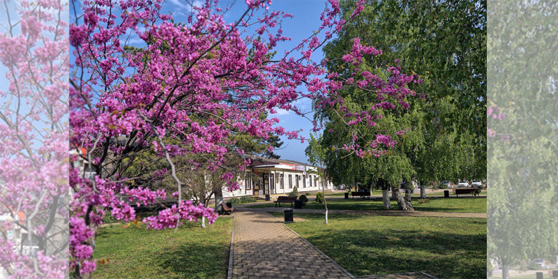    Фотоархив «ЗТ» Евгения Орлова
