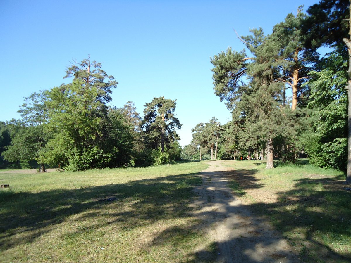 Красивые парки Москвы. Фото автора