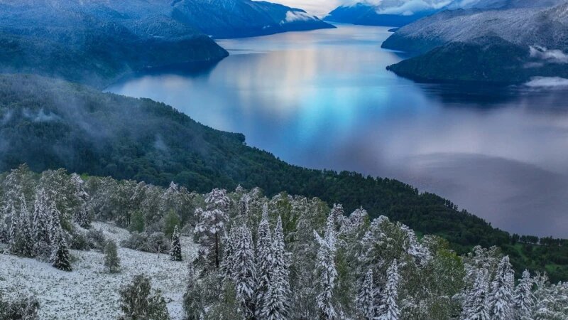     «Зеленая зима» в Алтайском заповеднике. Роман Воробьев и Татьяна Клименко