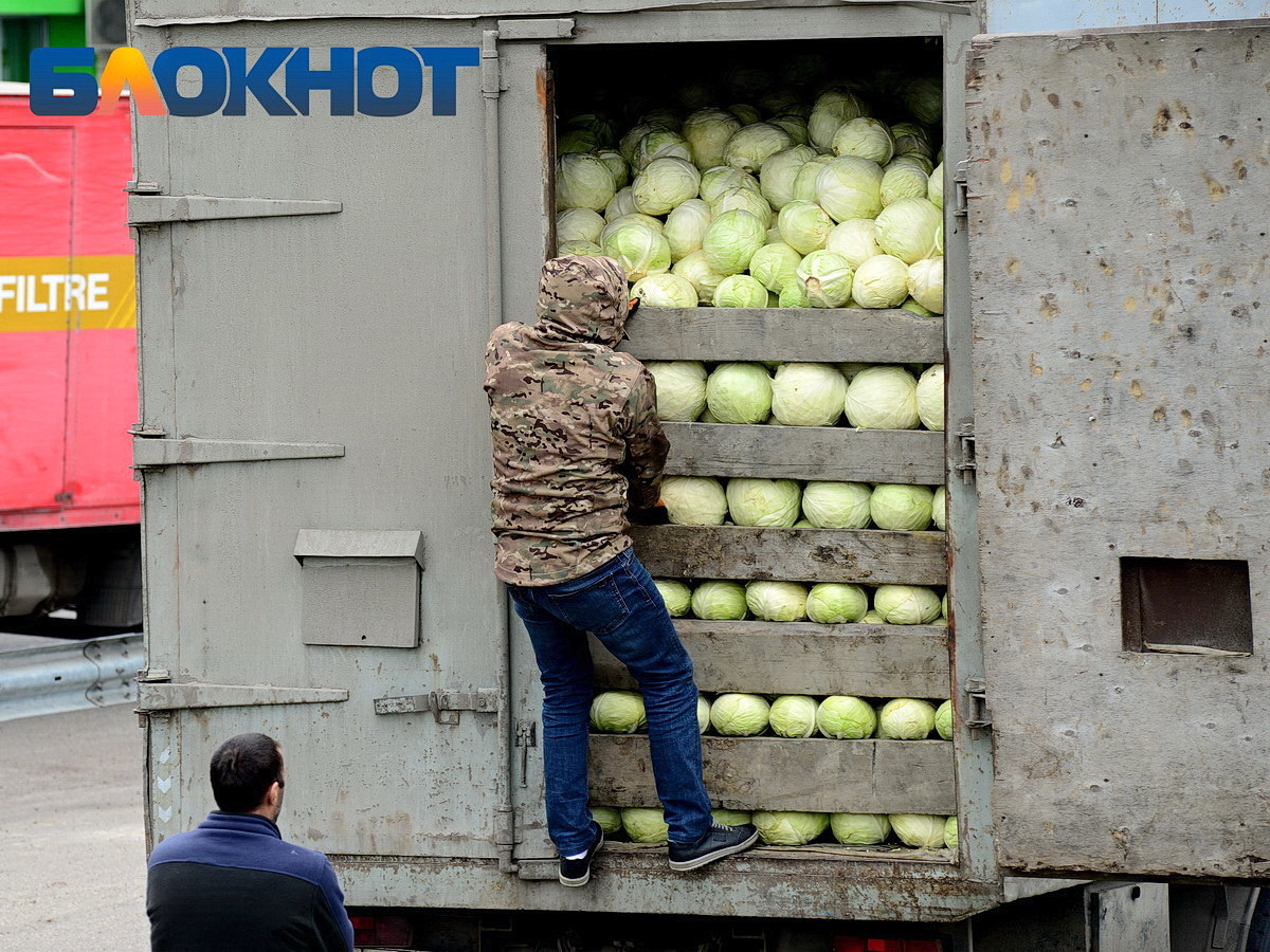 Фото: "Блокнот Краснодар"