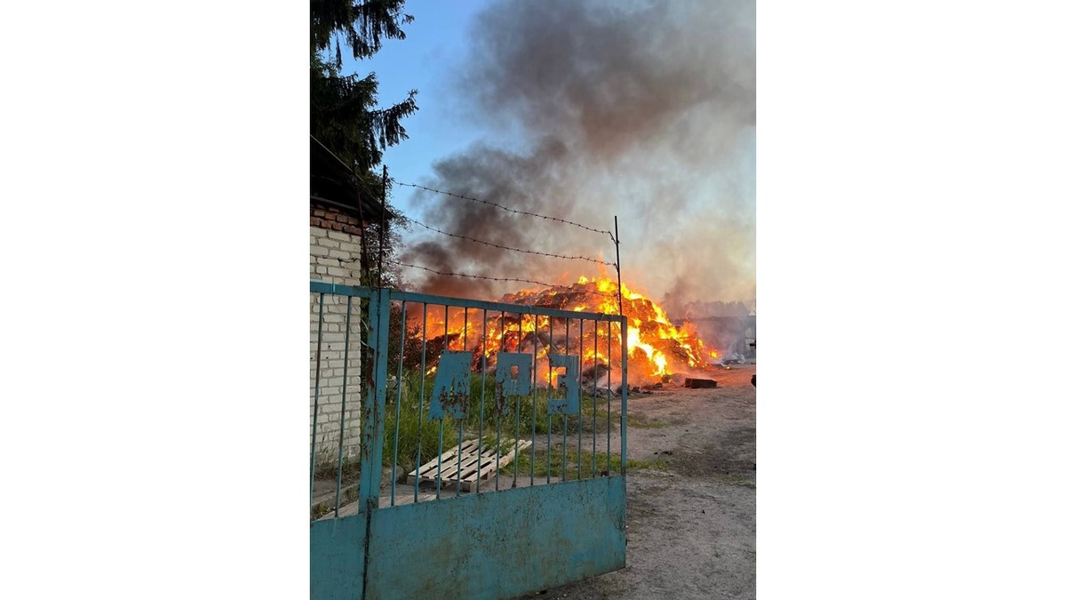    14 человек пострадали при атаке на Курскую область