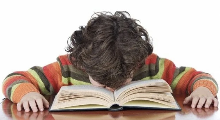 Фото с просторов интернета 