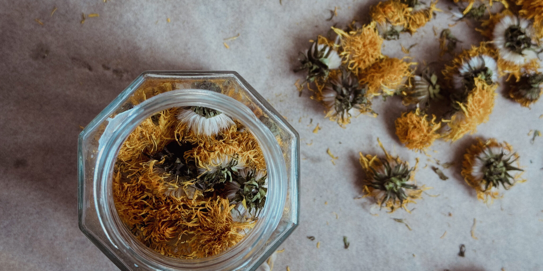 Заживляющий бальзам из одуванчиков