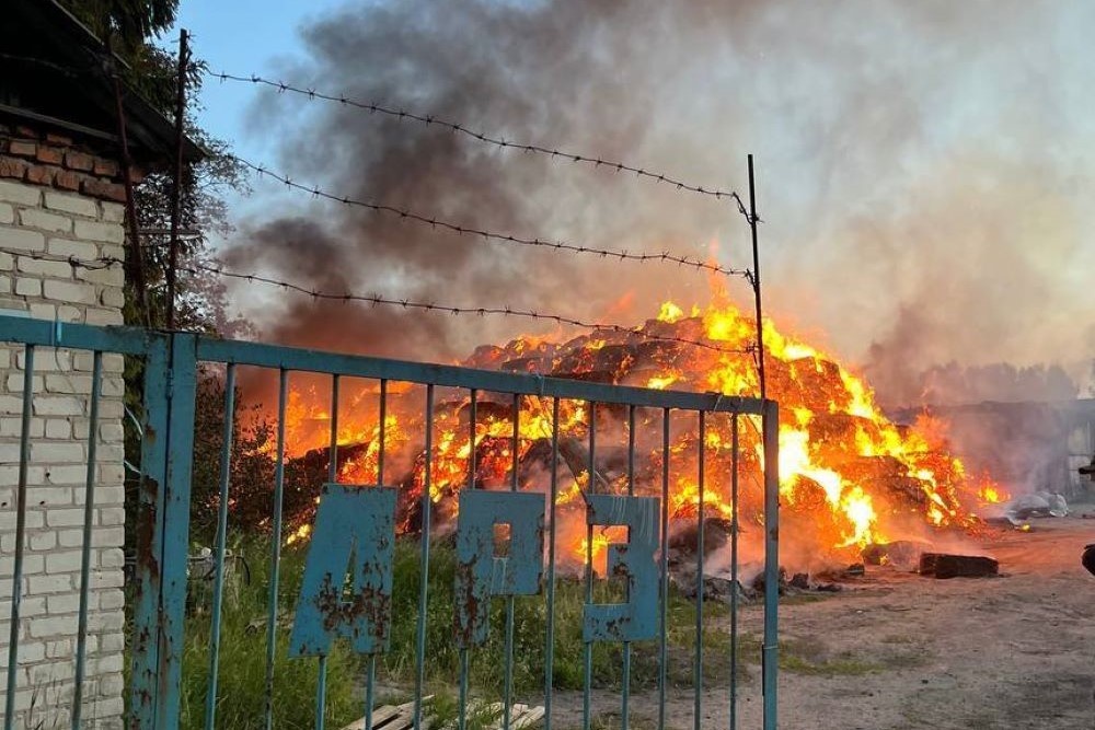    Правительство Курской области