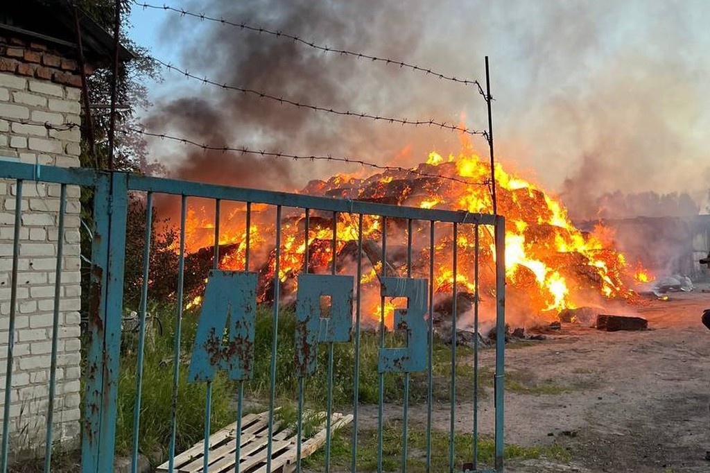    Фото © Telegram / Александр Хинштейн