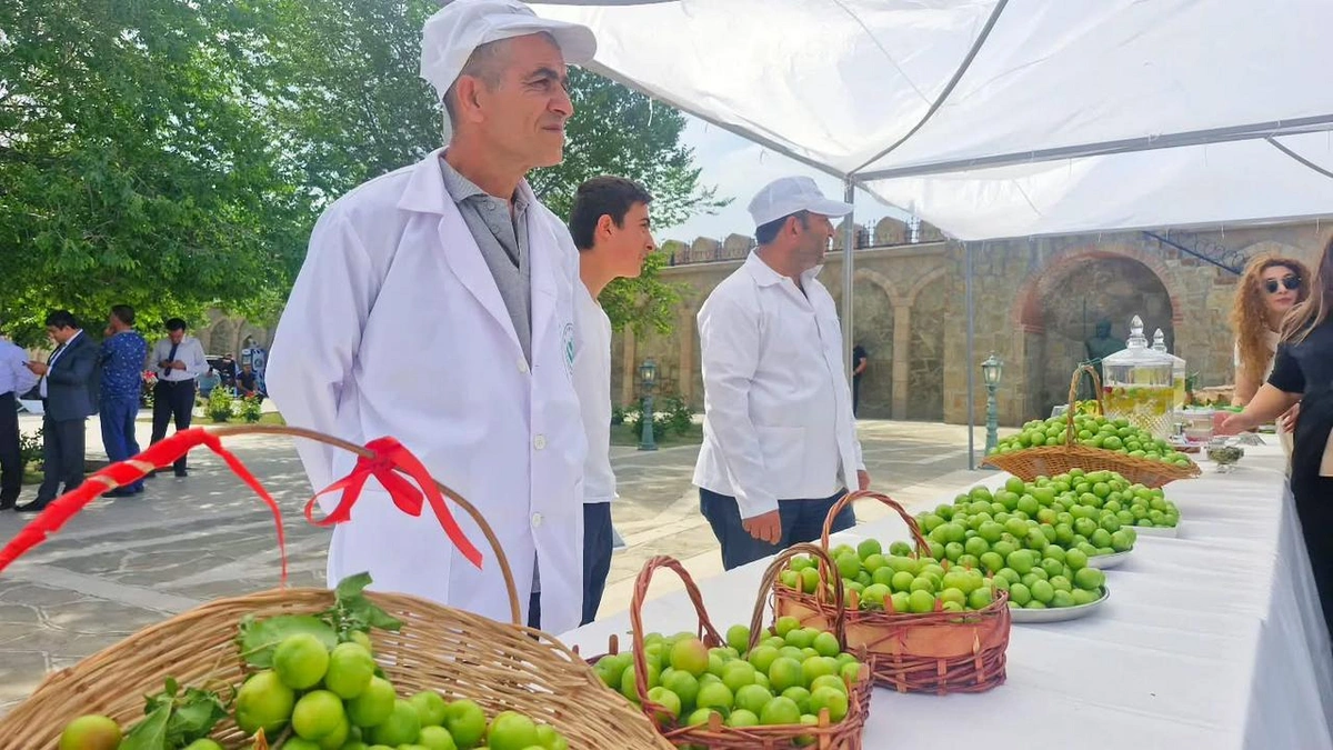 30 мая в Нахчыване состоялась церемония открытия фестиваля "Гёйча", проводимого по инициативе полномочного представительства Президента