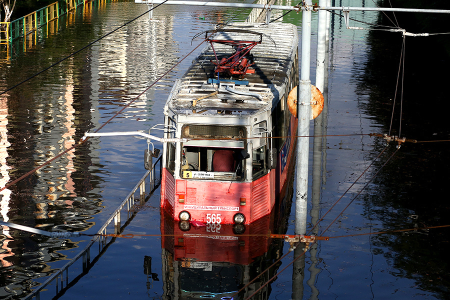    © Виталий Тимкив/РИА Новости