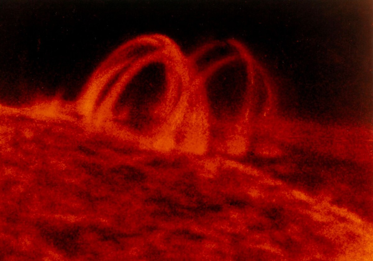     / Источник: © National Aeronautics & Space Adm/Global Look Press