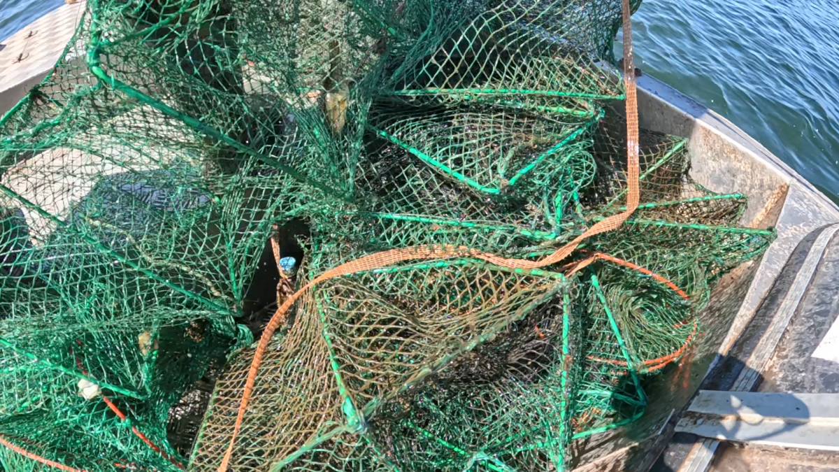 Фото предоставлено Надеждой Багаутдиновой