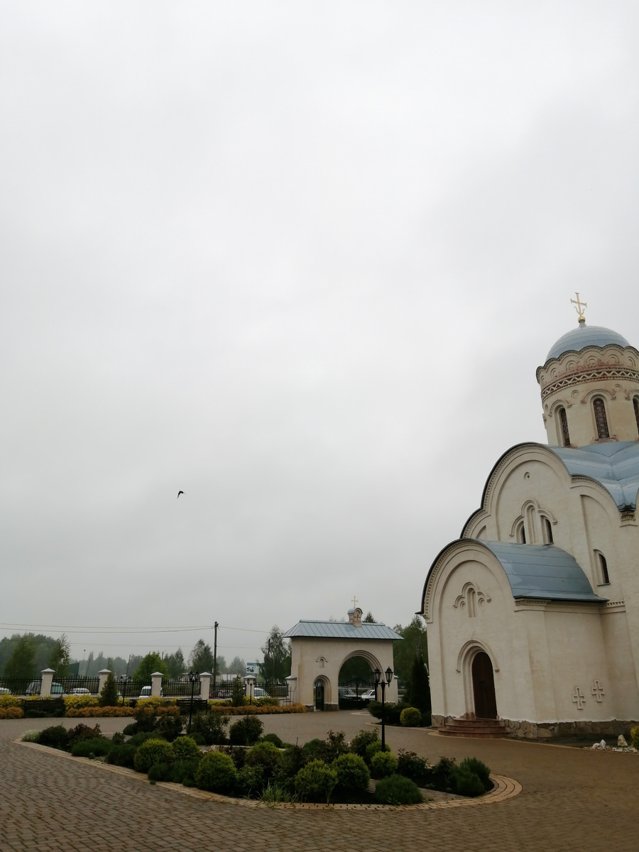 Храм равноапостольского князя Владимира в городе Щигры. В небе парит большая птица. Коршун, орёл, канюк? А может, и орлан-белохвост?
