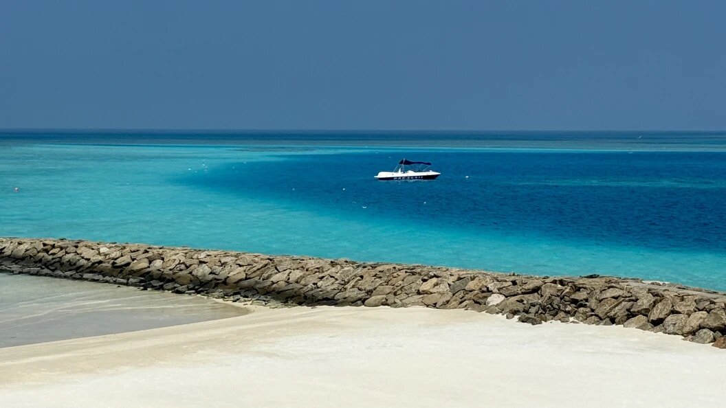    Фото: Carola Frentzen /Globallookpress