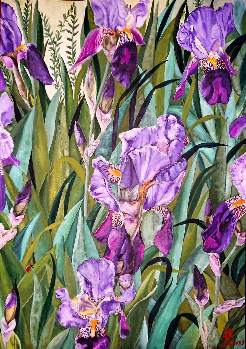 Юлия Приходина "Божья коровка"