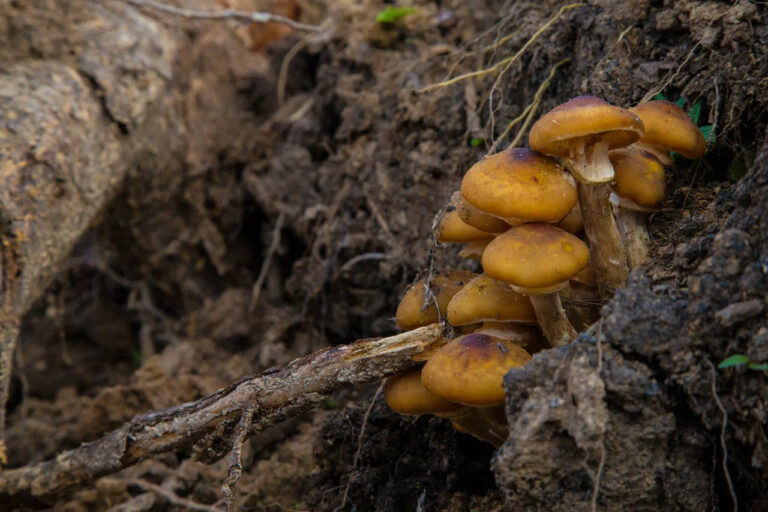    Фото: Общественная служба новостей Дмитрий Андреев