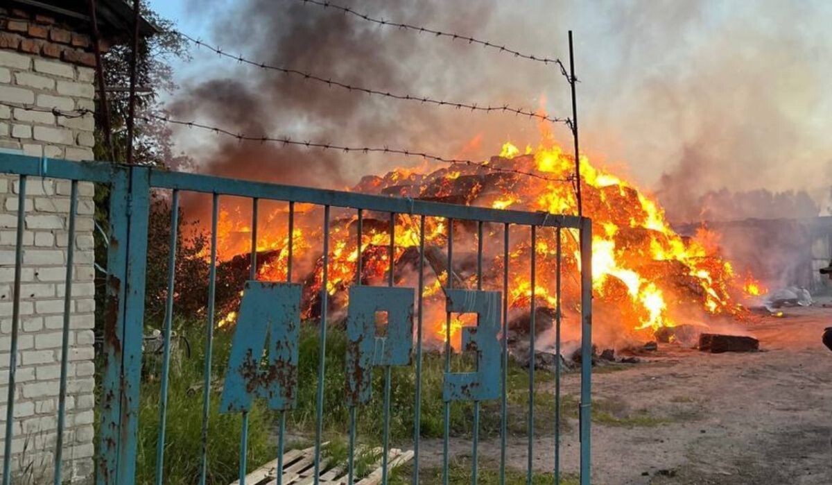     Место происшествия. Источник: t.me/Hinshtein Автор фото: ТК Александр Хинштейн