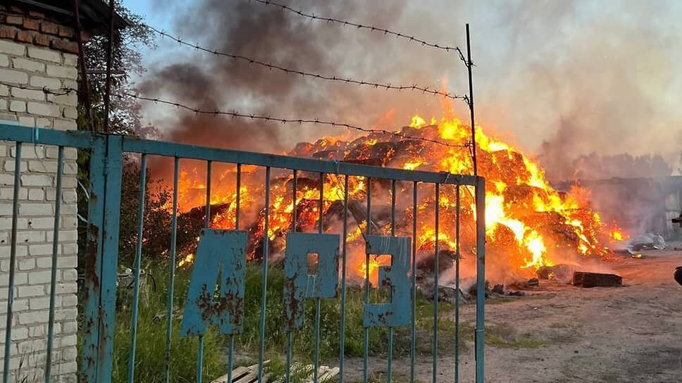 Фото: Telegram-канал врио губернатора Курской области Александра Хинштейна