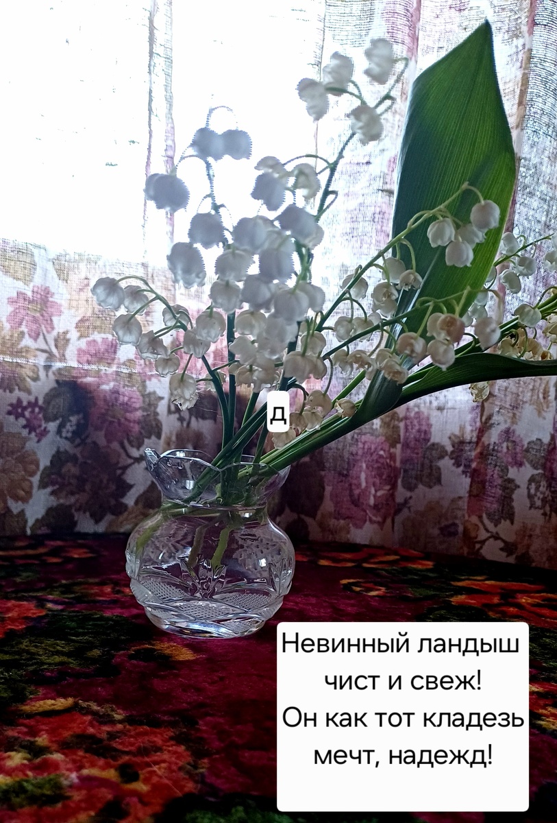 Стихи в открытке. Автор Татьяна Федотова