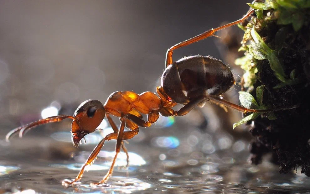   ,  ,    ,     ,   .         .