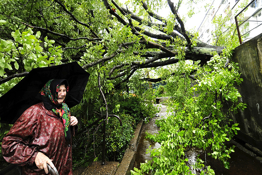    © Михаил Мордасов/РИА Новости