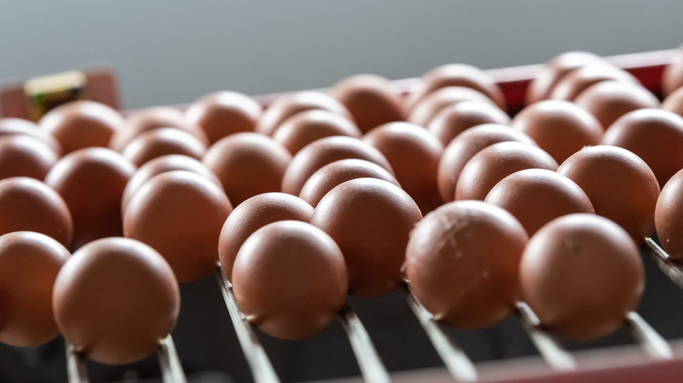 Фото: Игорь Елисеев / Коммерсантъ