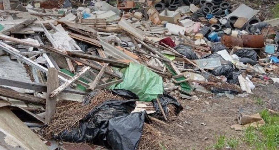    Фото: Росприроднадзор