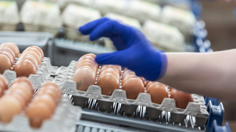 Фото: Игорь Елисеев / Коммерсантъ