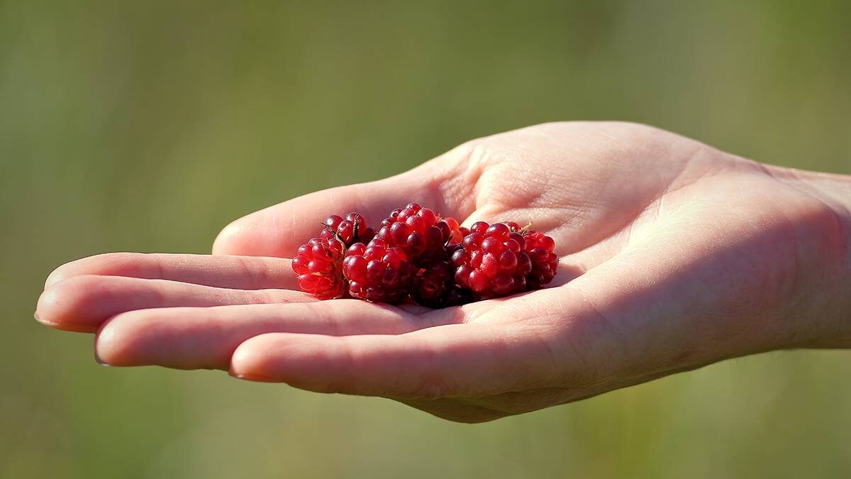    Фото: Shutterstock