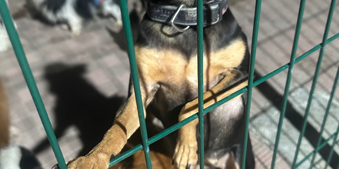 Мы верим в людей, несмотря ни на что…