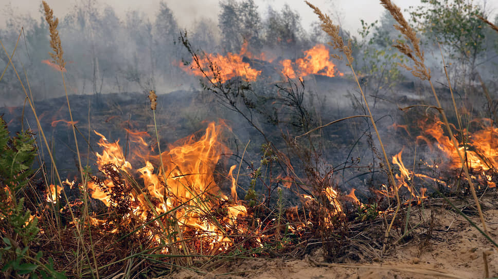 Фото: Виталий Смольников / Коммерсантъ