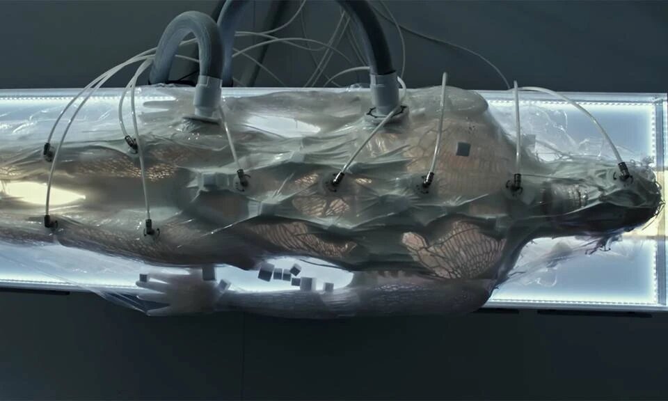 Процесс разработки андроида (в данном случае, Уолтера).