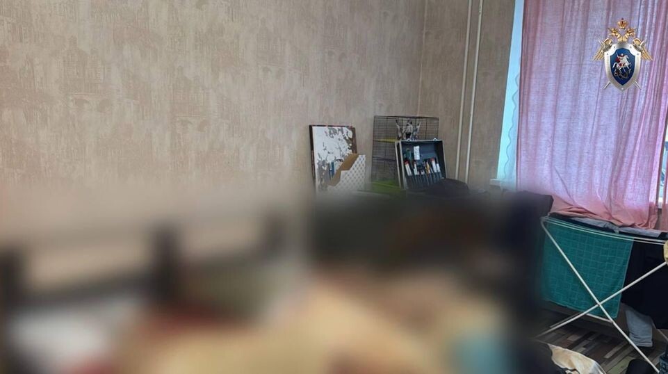    Пресс-служба Следственного комитета