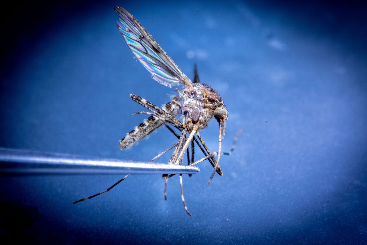     / Источник: © Jens Büttner/Global Look Press