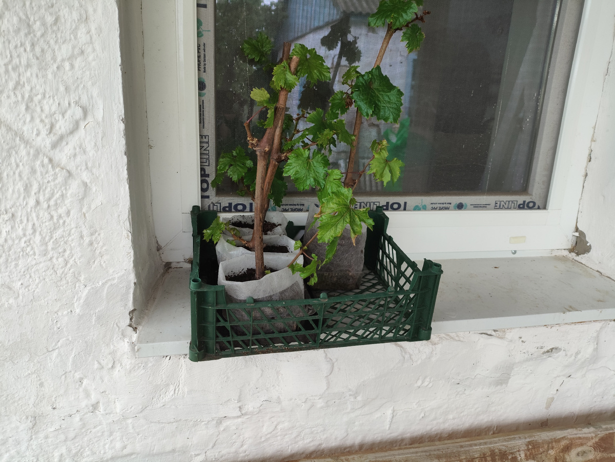 Позабыт, позаброшен