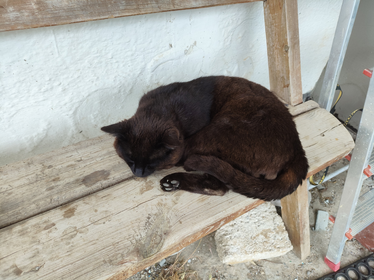 Спит безо всех ног ))