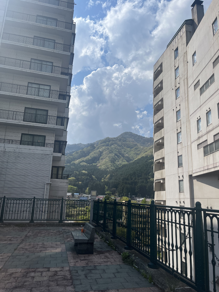 Вид природы между двумя высотными отелями