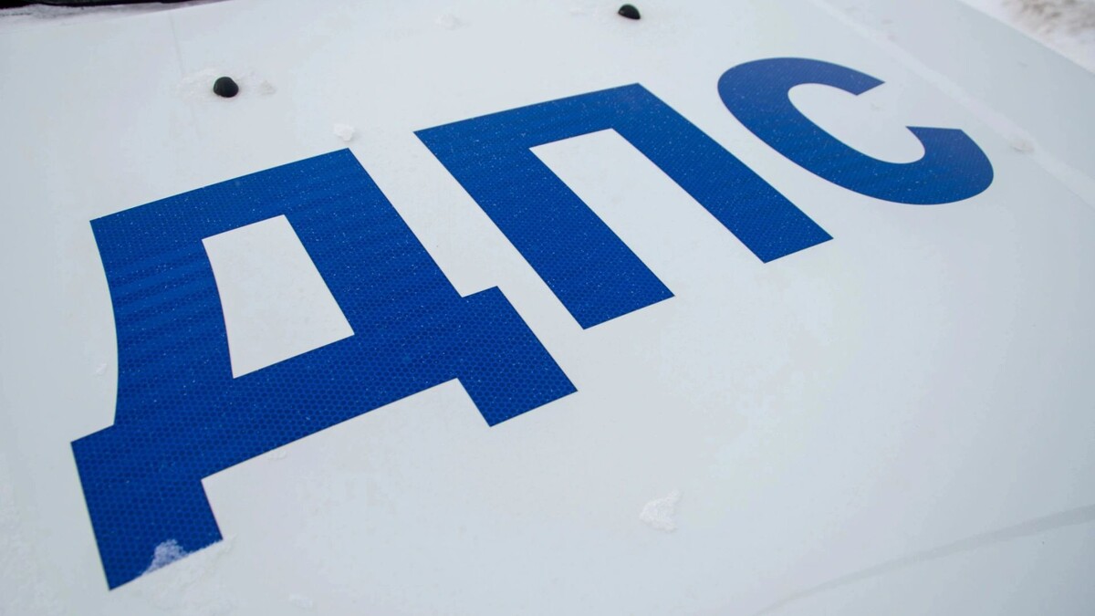    Фото: Юрий Здебский/«Ямал-Медиа»