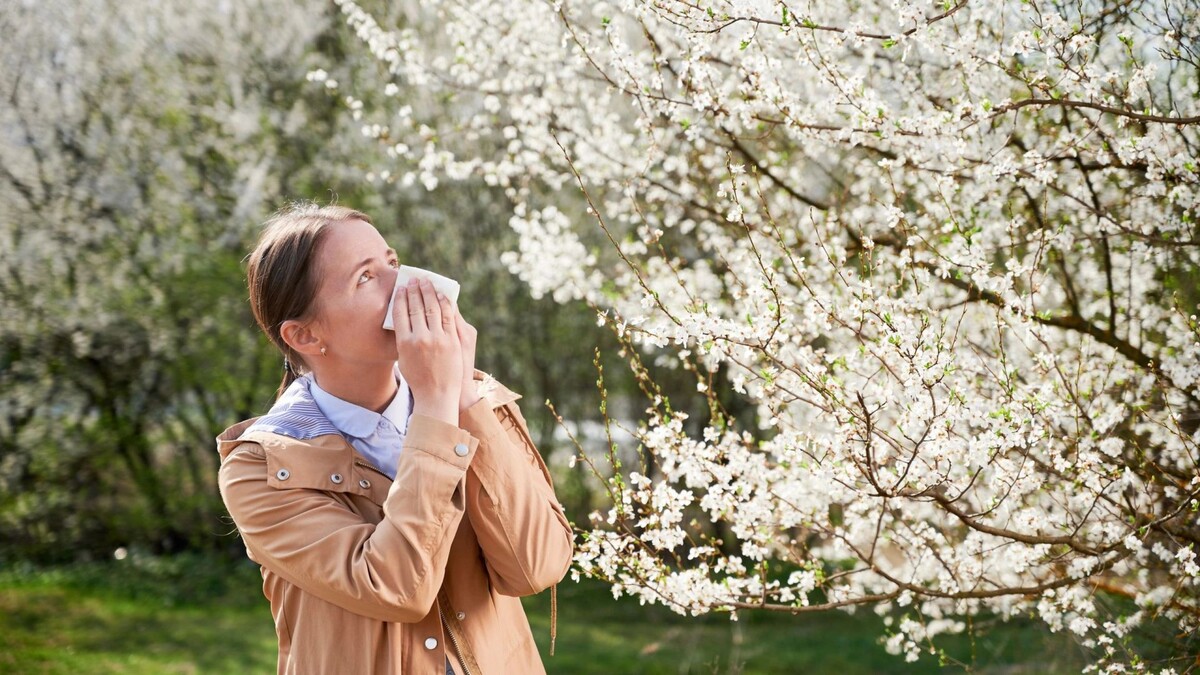   Фото: anatoliy_gleb/Shutterstock/Fotodom
