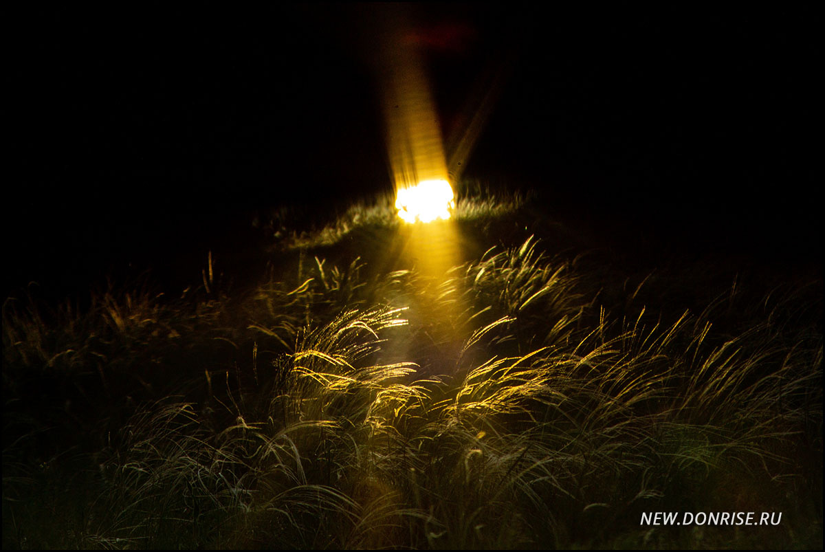 Ковыли (листайте!)