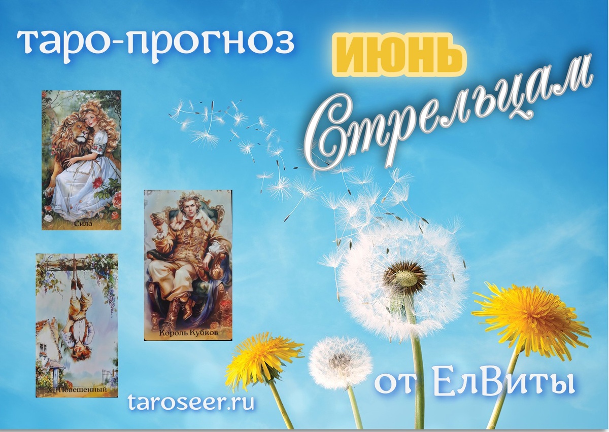 коллаж ЕлВита