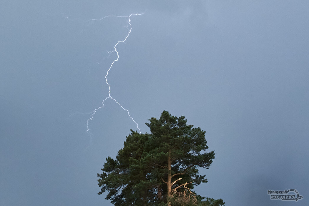    Фото Лидия Аникина © ИА «Уральский меридиан»