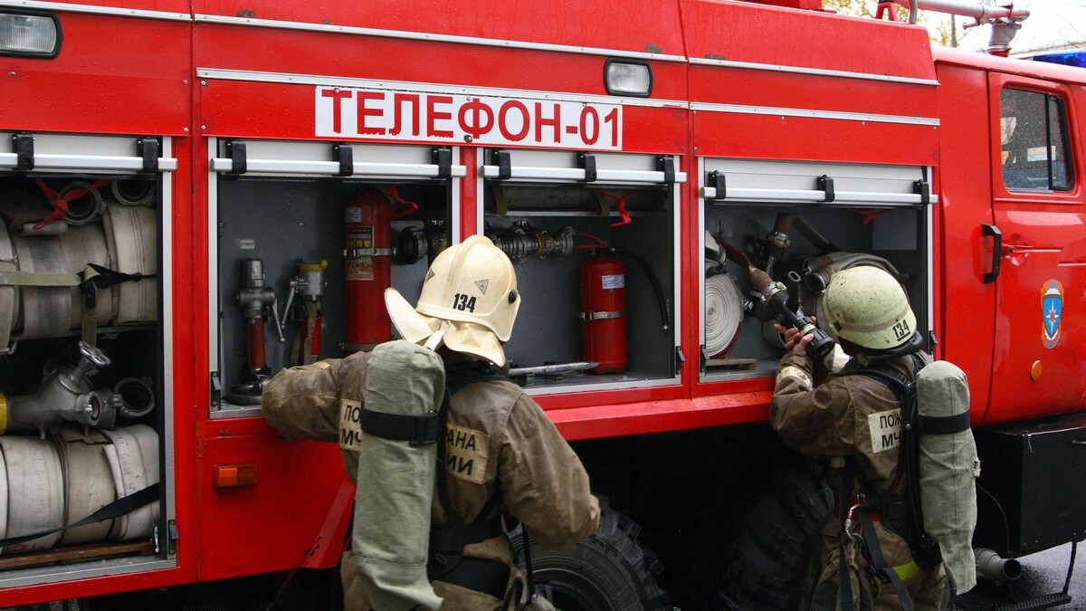    Фото: Bragapictures/Shutterstock/Fotodom