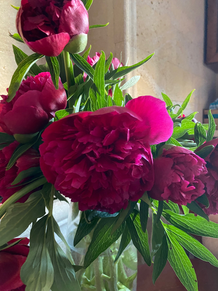 Цветы не помеха минимализму