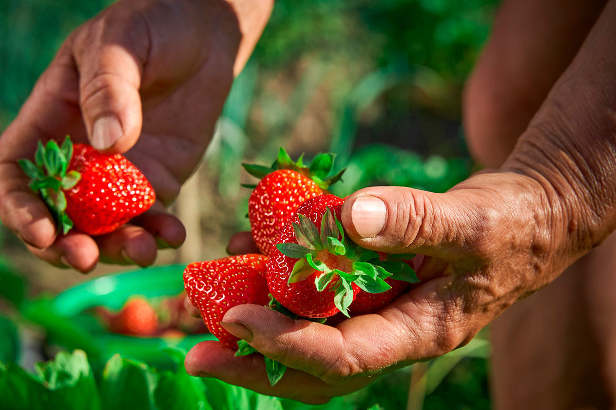    Фото: V_Sot_Visual_Content / Shutterstock.com