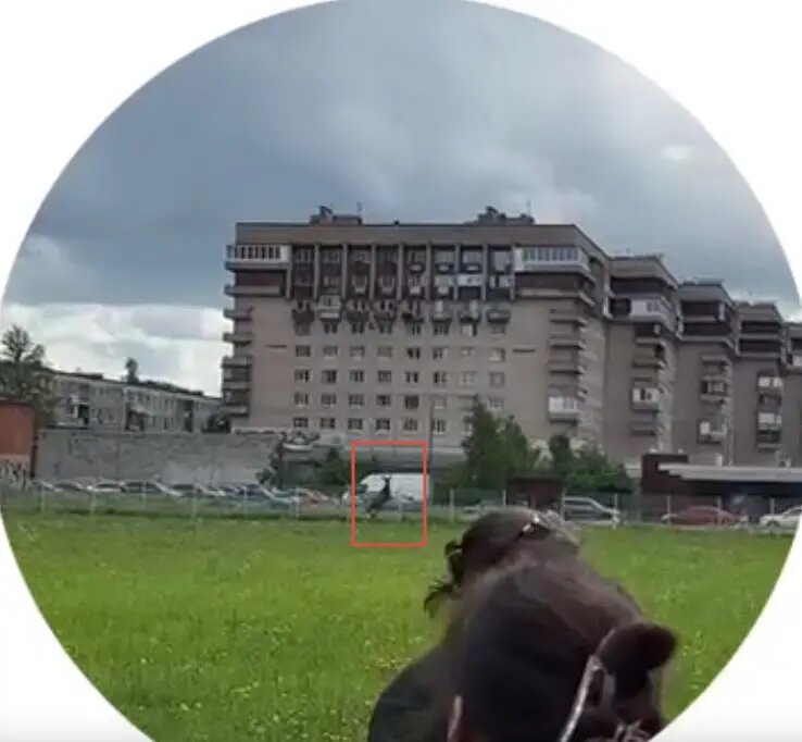    Фото: скриншот из видео в соцсети «Вконтакте» в паблике «Новости Купчино»