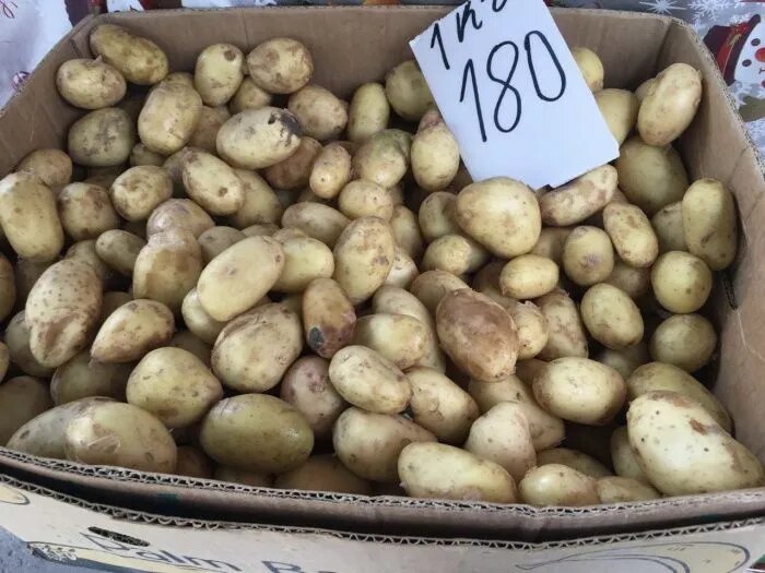 Стоимость картофеля на Центральном рынке Ростова дошла до 180 р/кг // Фото: «Эксперт Юг»