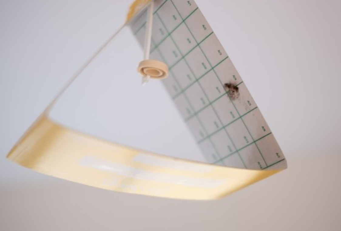 Источник фото: shutterstock.com