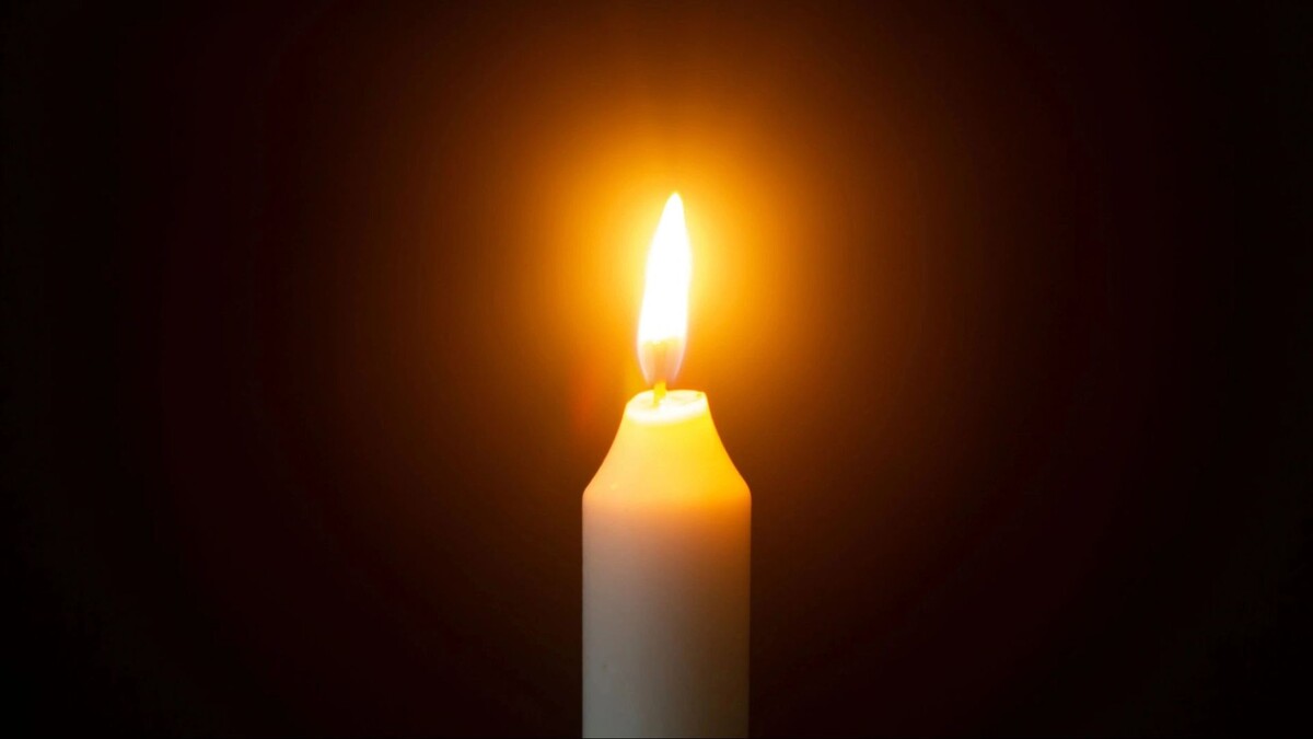    Фото: Al Alex/Shutterstock/Fotodom