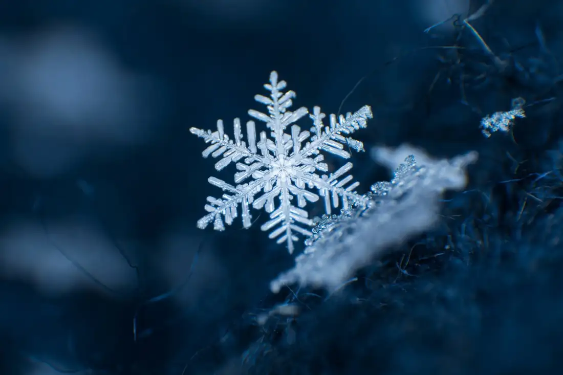 Shutterstock/Mariia Tagirova