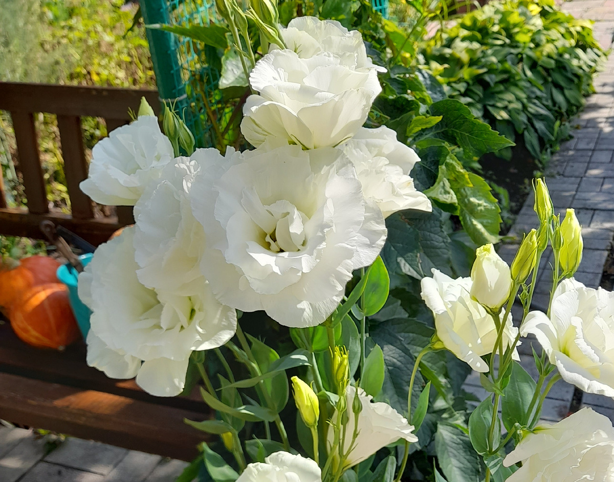 Фото автора канала