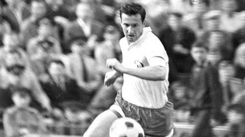 В атаке.    Фото из дзен картинки.