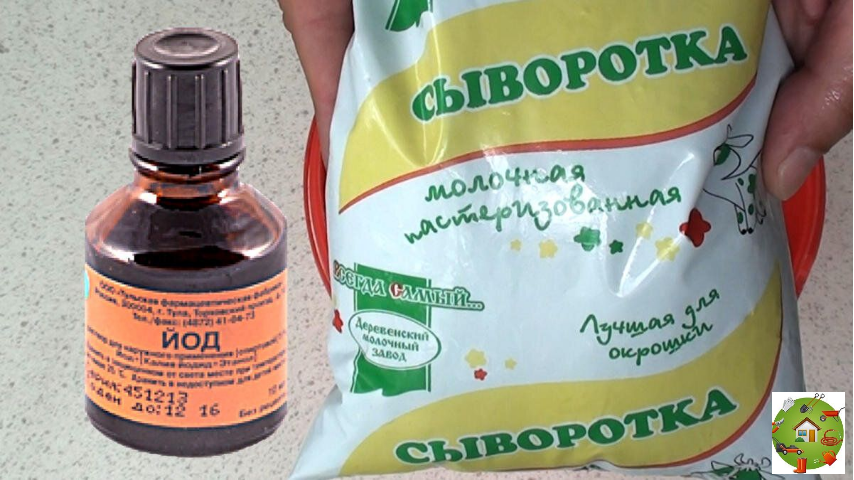 Простые, но мощные ингредиенты для подкормки